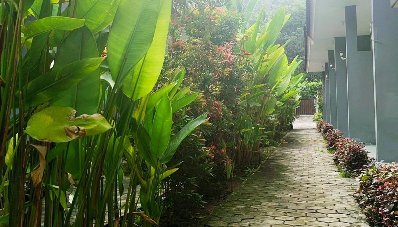 Oyo 2864 Mangsit Garden Homestay Ngoại thất bức ảnh
